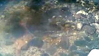 25052008.mp4