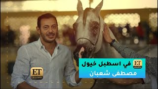 ET بالعربي في اسطبل خيول مصطفى شعبان