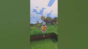 vibrant visuals vs shaders? (bedrock vs java)