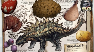 kibble de ankylo - domar ankylo