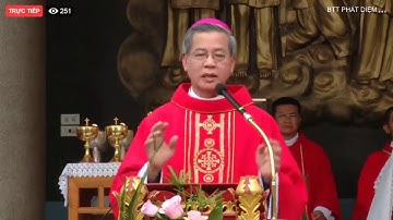 GIẢNG LỄ CÁC THÁNH TỬ ĐẠO VIỆT NAM 2019 - ĐỨC TGM GIUSE NGUYỄN NĂNG