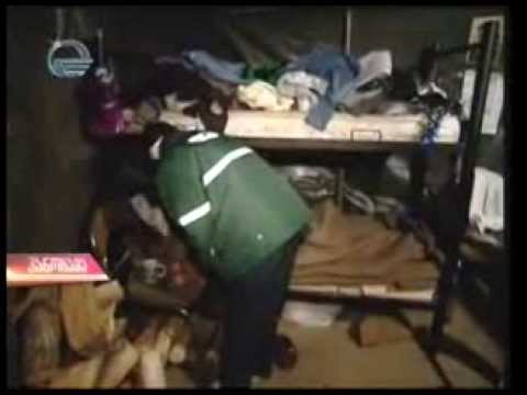 მიუსაფართა თავშესაფარი