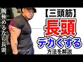 【長頭】をデカくして一気に腕を太くする方法を解説します