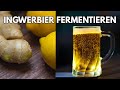 Ingwer Bier selber brauen - fermentierte Ingwer Limonade mit Kurkuma und Zitronen