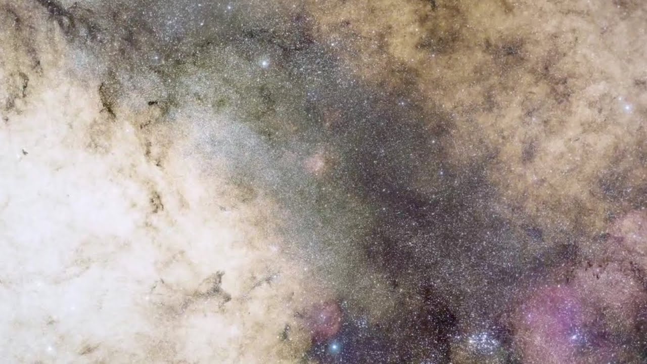 Terence McKenna - The Mushroom Speaks