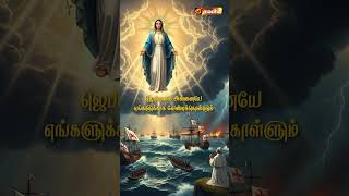 OUR LADY OF THE ROSARY | ஜெபமாலை அன்னையே | TAMIL MADHA SONG | @madhatelevision​