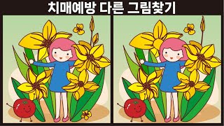 [다른그림찾기/치매예방/Find the difference]치매예방 다른 그림찾기