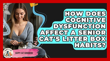 How Does Cognitive Dysfunction Affect A Senior Cat
