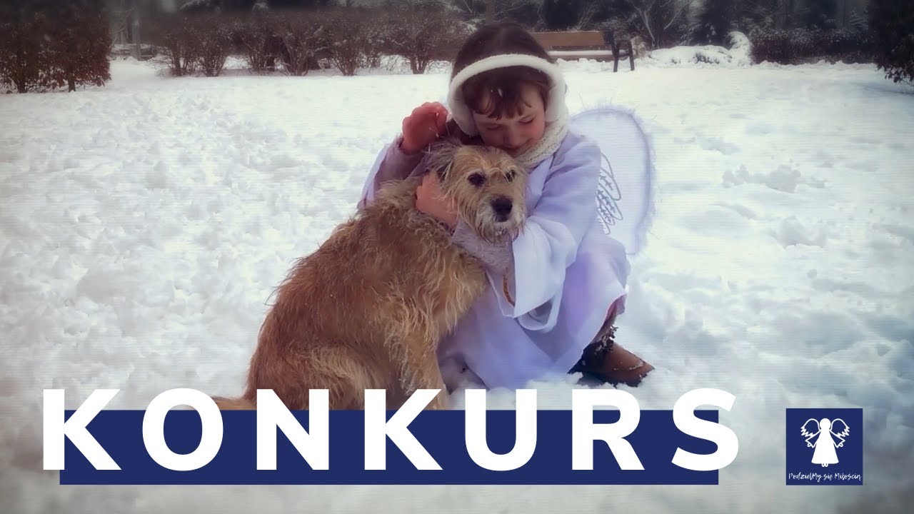 𝒫𝑜𝒹𝓏𝒾𝑒𝓁𝑀𝓎 𝓈𝒾ę 𝑀𝒾ł𝑜ś𝒸𝒾ą #pomagamy #konkurs