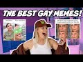 reacting to gay memes!!!