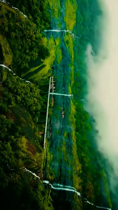 GM Relaxation - Music #shorts #nature #status youtube.com/@gmrelaxation-music