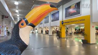 Foz Do Iguaçu - Destino Preferido Por Turistas Chineses