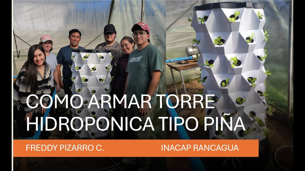 COMO ARMAR UNA TORRE HIDROPONICA TIPO PIÑA - YouTube
