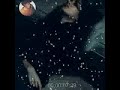 ماكو بغلاتك انت ماكو بغلاتك انت