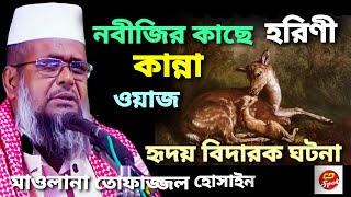 নবীজির কাছে হরিণী কান্না। হৃদয় ছোঁয়া ঘটনা।Nobijir Kache Horiner Kanna Waz।মাওলানা তোফাজ্জল হোসাইন।