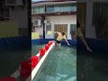 Pool Challenge Naging Gulo
