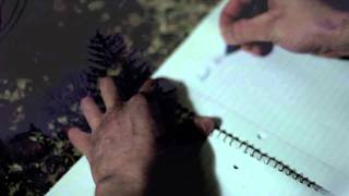 Suicidal Tendencies' Institutionalized: Visual Int.