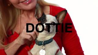 Adopt Dottie at NKLA