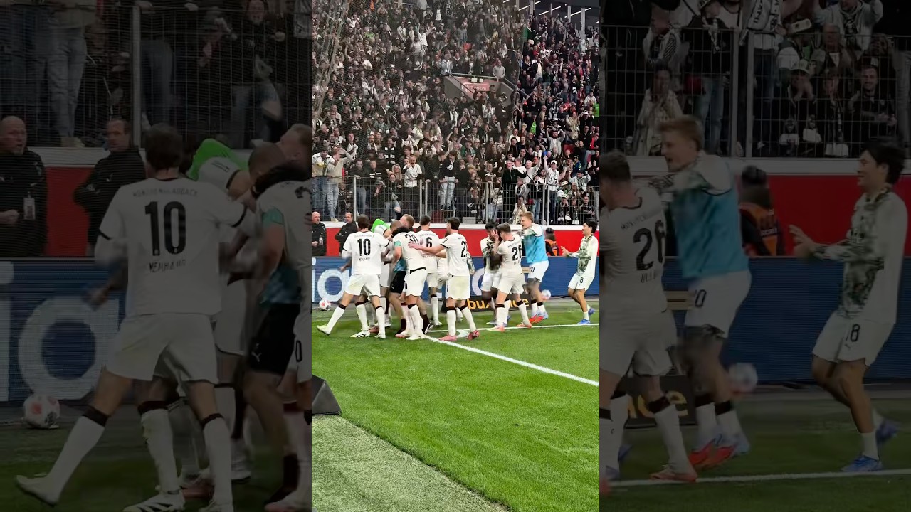 Die Emotionen nach dem 1:1-Ausgleich von Haris Tabaković in Leverkusen 