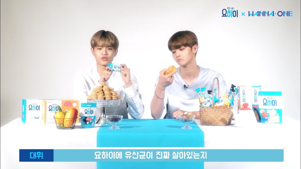 요하이X워너원 리얼 유산균 인증 영상