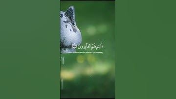 قران الكريم حالة واتس 30 ثانية #القران_الكريم #القران_الكريم_راحه_نفسية #اسلام_صبحي