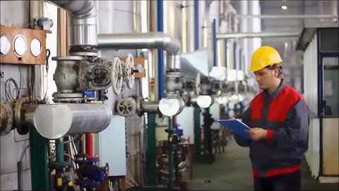 What is an SQF Auditor?