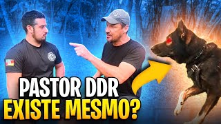 PASTOR ALEMÃO DDR EXISTE?