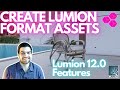 How To Make LUMION FORMATS! Lumion 12 Custom Library!