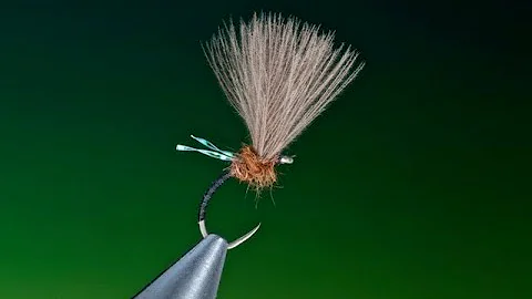 How to tie a Midge emerger with Barry Ord Clarke
