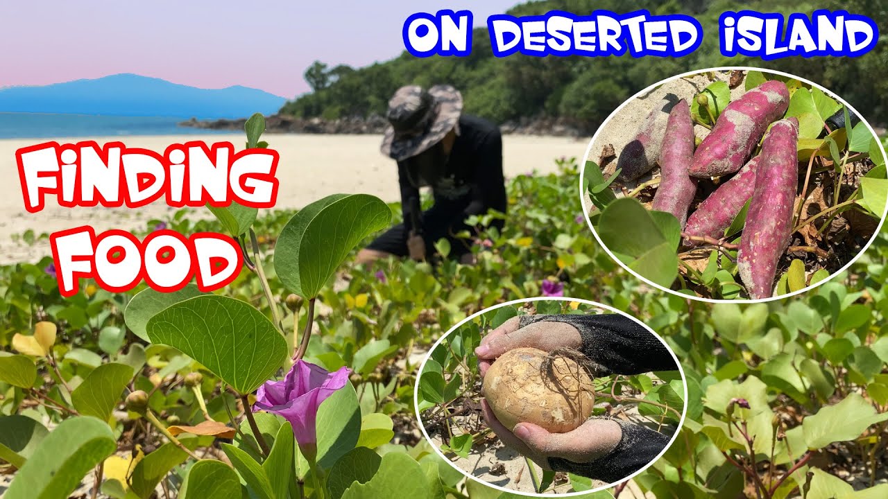 Finding Food On Deserted Island Primitive Survival Skills YouTube