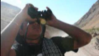 Sarban Dewana Namodam