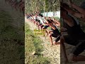 isometric training #hypertrophytraining #trending #shortclip #explore #explore #athleteexercise