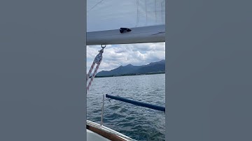 3,2,1 Start 2025! Rigging is tuned, sails are up. #sailingchannel #sailing #chiemsee