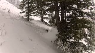 Beaver Backside Avalanche