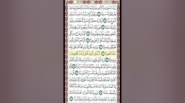 صفحة 310 من القرآن الكريم بصوت القارئ الشيخ ميثم التمار