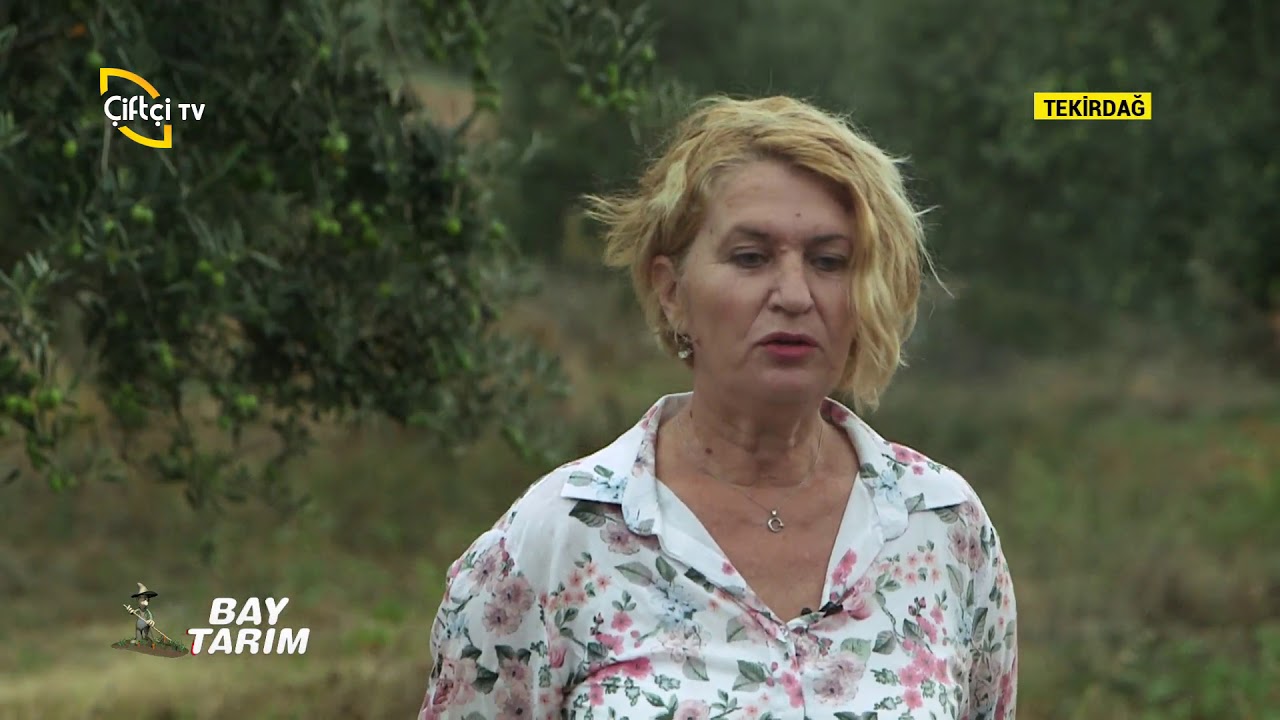 Zeytin Yetiştiriciliği - Bay Tarım / Çiftçi TV