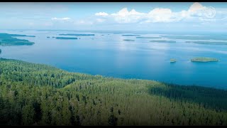 Sustainable Wood: Building the future