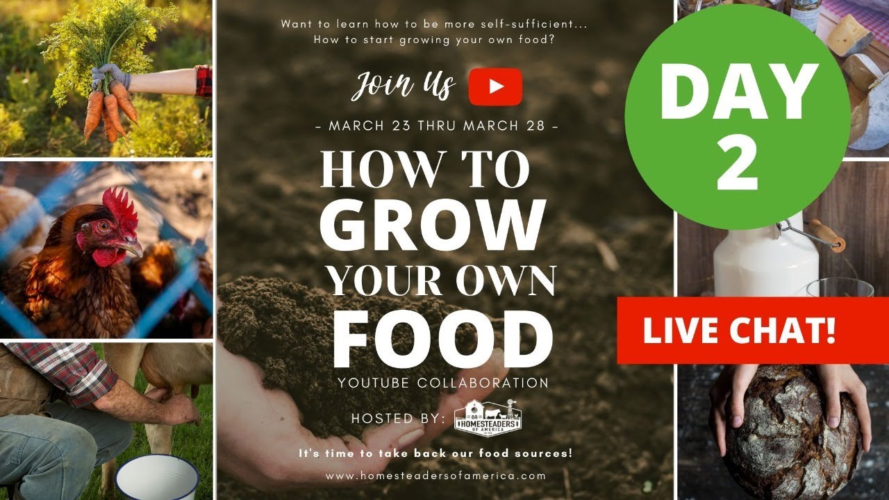 DAY 2 | How to GROW Your OWN Food series - YouTube