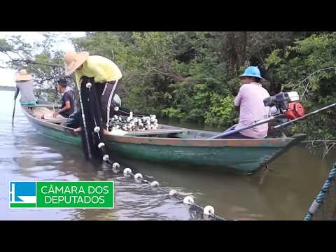 Aprovadas novas regras para seguro-defeso e maior fiscalização contra combustíveis adulterados