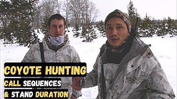 How To Call Coyotes: How Long Should You Sit at Each Stand Before Moving? Call Sequence & Volume?