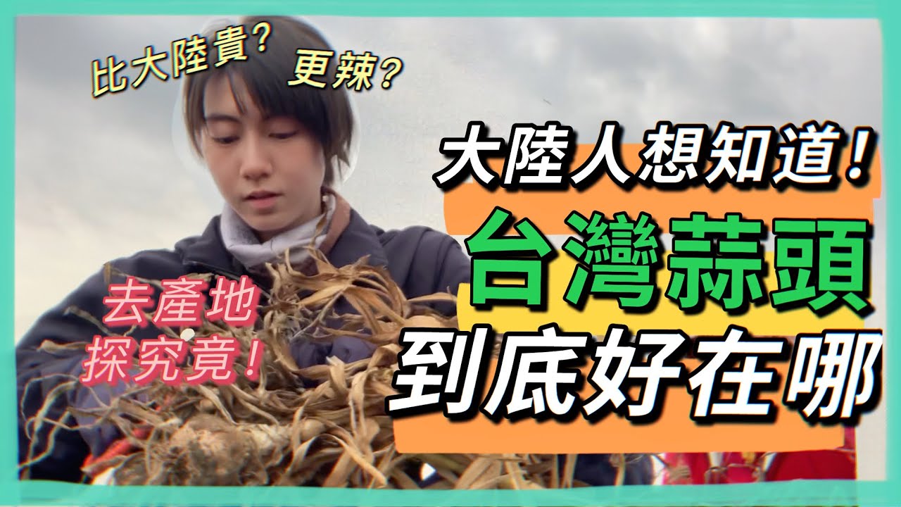 台灣蒜頭價格是大陸蒜頭的三倍還供不應求？為滿足好奇心，大陸人到盛產蒜頭的雲林體驗農忙採收！｜廖小花