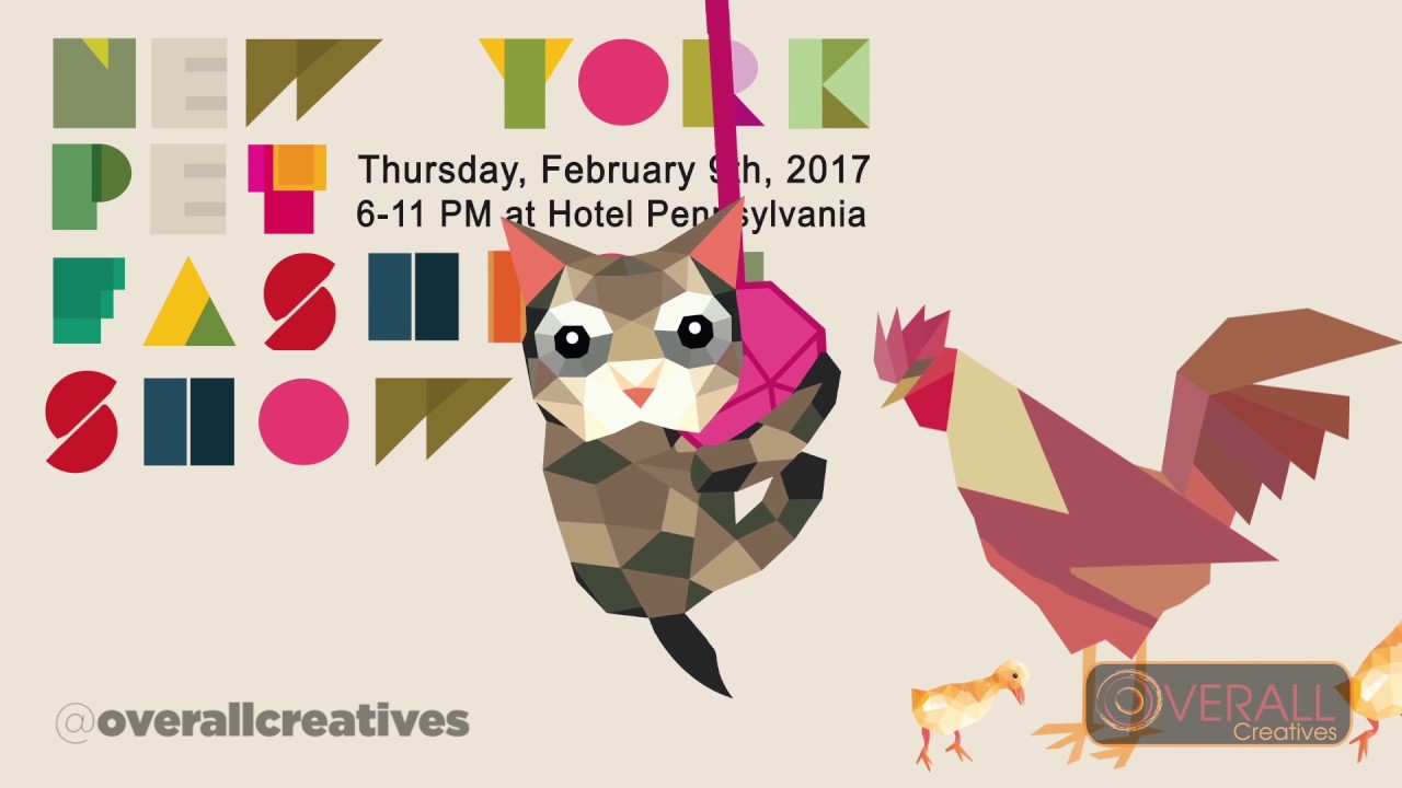 Abstract Motion Graphics In Geometrical shape  - New York Pet Fashion Show Video