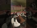 اغاني سيوه مطروح راس السنه الجديده 2023