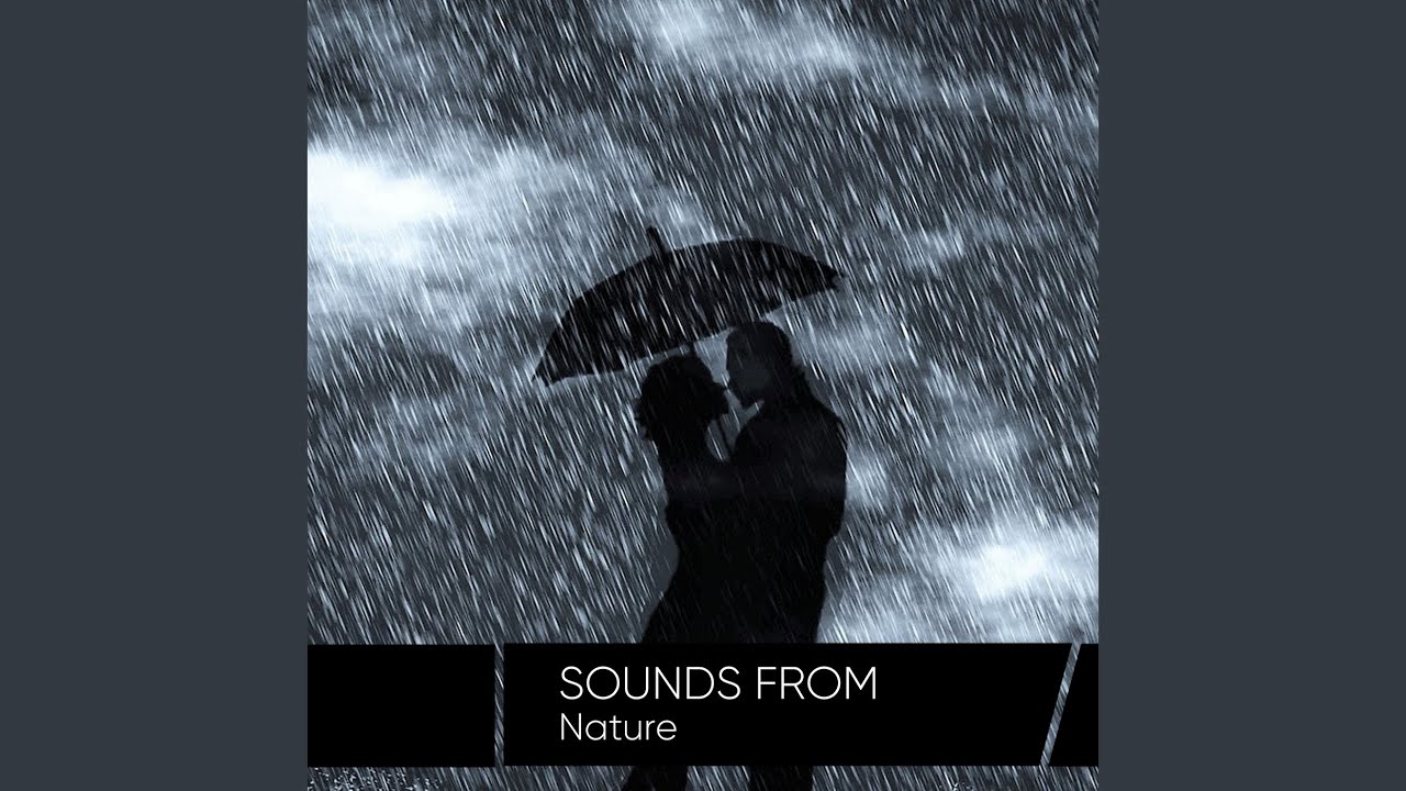 Meditative Showers in the Morning YouTube