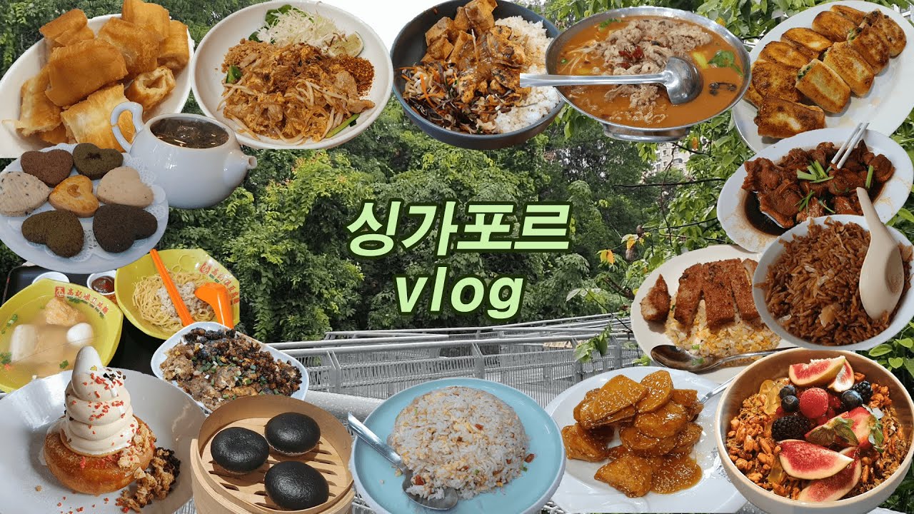 싱가포르 교환학생 브이로그/ 싱가포르 맛집 추천/ 딤섬 맛집, 전통 차집 추천/ 티옹 바루, 뎀시힐/ 하이킹 장소/ 뉴턴 푸드 센터, 동북소주, 피쉬 헤드 커리