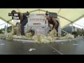 Speed Shearing action at Hilux New Zealand Rural Games 2015