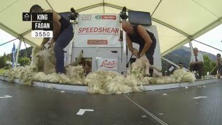 Speed Shearing action at Hilux New Zealand Rural Games 2015