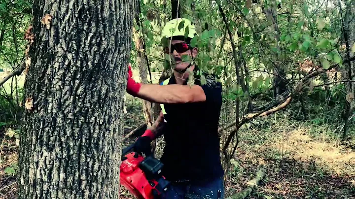 Cutting a TREE! - M18 FUEL™ 20" Dual Battery Chainsaw Kit Milwaukee Tool