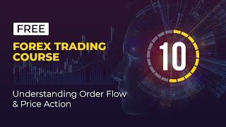 The Best Forex Trading for Beginners Course - Lesson 10 (Understanding Order Flow & Price Action)