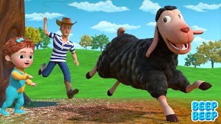 Baa Baa Black Sheep Sheep Song Beep Beep Kids Songs Nursery Rhymes